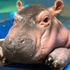 Meet your Posher, Chloe